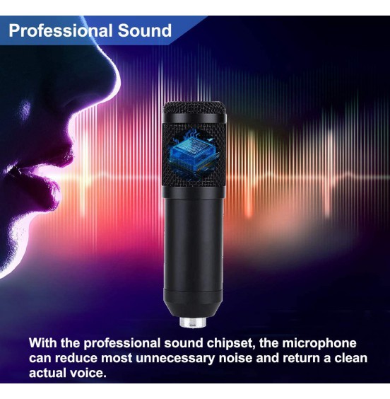 2021 Upgraded USB Condenser Microphone for Computer, Great for Gaming, Podcast, LiveStreaming, YouTube Recording, Karaoke on PC, Plug & Play, with Adjustable Metal Arm Stand, Ideal for Gift, Black 2021 Upgraded USB Condenser Microphone for Computer, Great for Gaming, Podcast, LiveStreaming, YouTube Recording, Karaoke on PC, Plug & Play, with Adjustable Metal Arm Stand, Ideal for Gift, Black